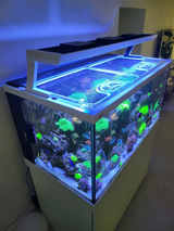 Red Sea Max-S 500 Custom Polycarbonate Aquarium Screen Top Lid