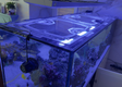 UNS (Ultum Nature Systems) aquarium top lid product image 2