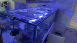 Red Sea Reefer-S Peninsula 950 Custom Polycarbonate Aquarium Screen Top Lid