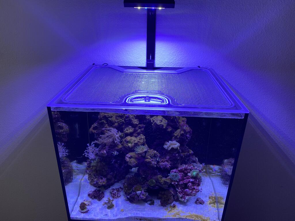 Ultum Nature Systems UNS Reef System R75 Polycarbonate Screen Top Lid