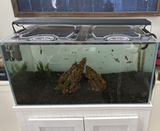 OASE ScaperLine 90 Polycarbonate Aquarium Screen Top Lid