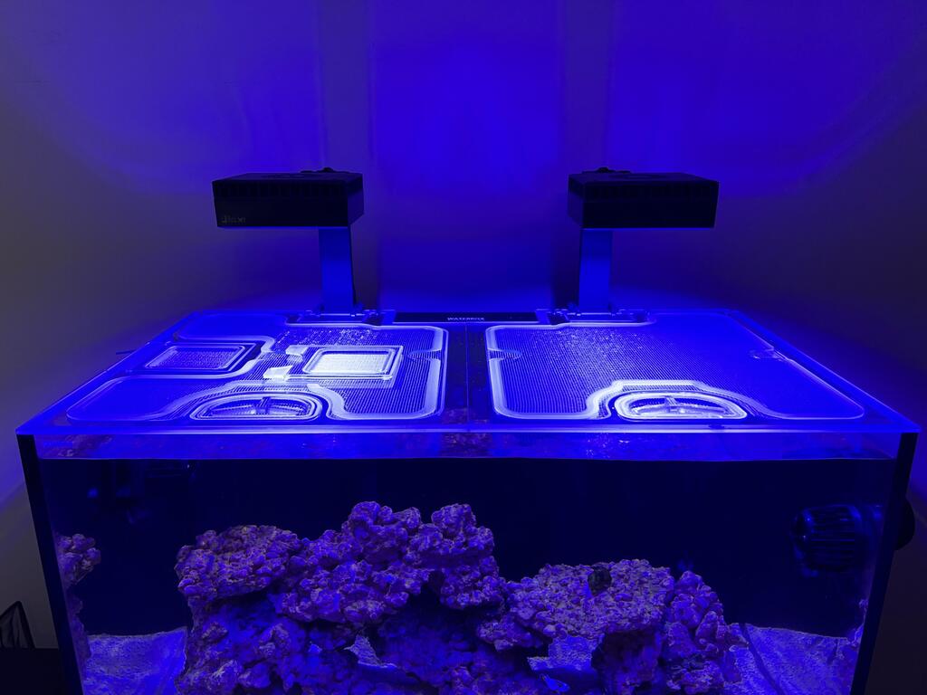 Waterbox Marine X 110.4 (Internal Overflow) Top Lid – Top Lids