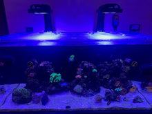 Load image into Gallery viewer, Waterbox Infinia Reef 150.4 Custom Polycarbonate Aquarium Screen Top Lid
