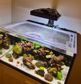 Planet Aquariums Tideline Studio Cube 7.1 Gallon Polycarbonate Screen Top Lid