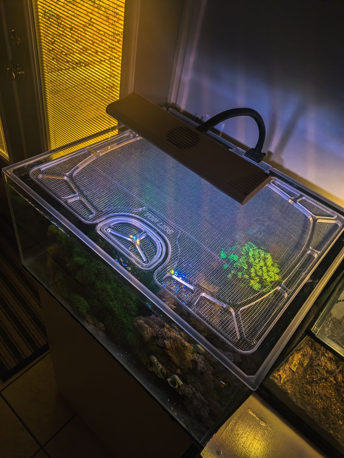 Neptunian Cube R60 Polycarbonate Screen Top Lid