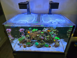 Red Sea Reefer 250 G1, G2+, and G3 Custom Polycarbonate Aquarium Screen Top Lid