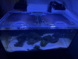 Waterbox Reef 130.4 Custom Polycarbonate Aquarium Screen Top Lid