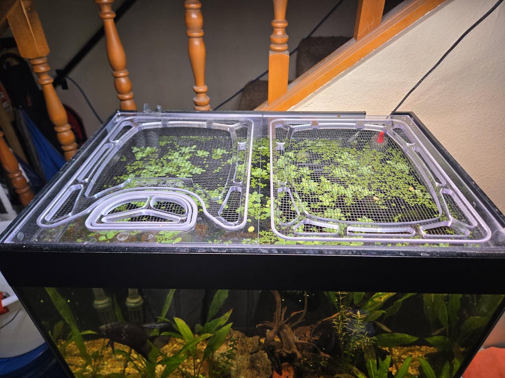Waterbox Eden 20 Custom Polycarbonate Aquarium Screen Top Lid