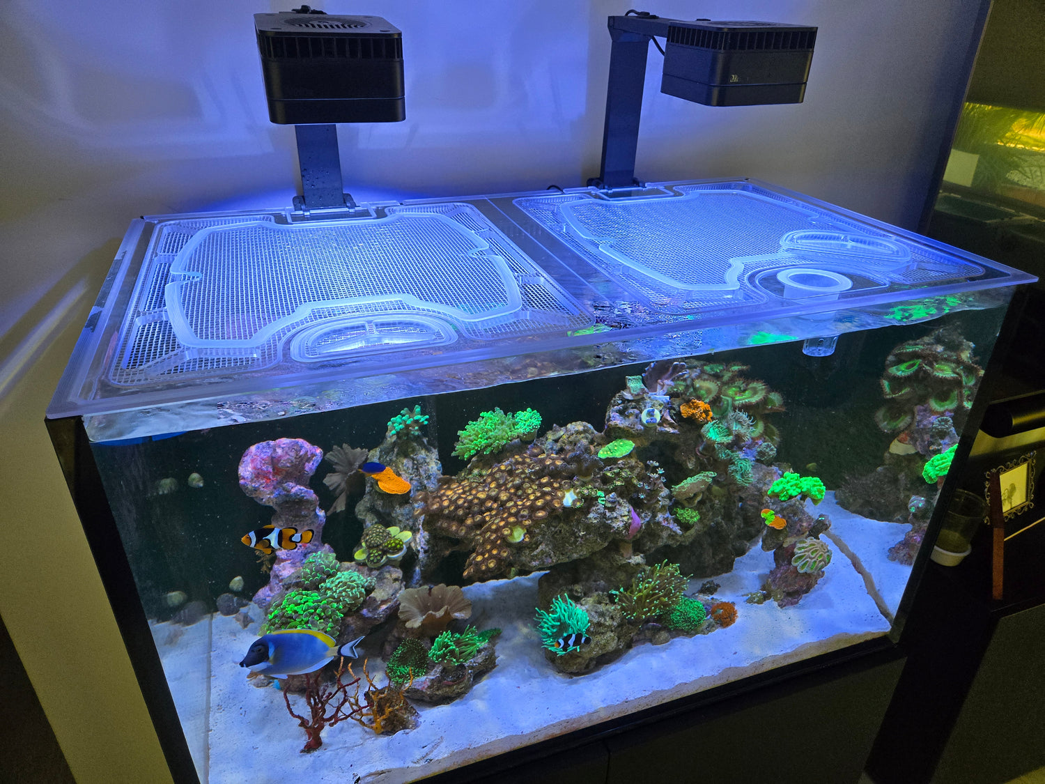 custom fish tank accessories Mechpia 13 Pieces Aquarium Decorations Kit, Decorations Set Small Resin Castle and Rockery Betta Fish Cave Hideout Coral Artificial Plastic Acrylic Aquariums Custom Made Aquarium