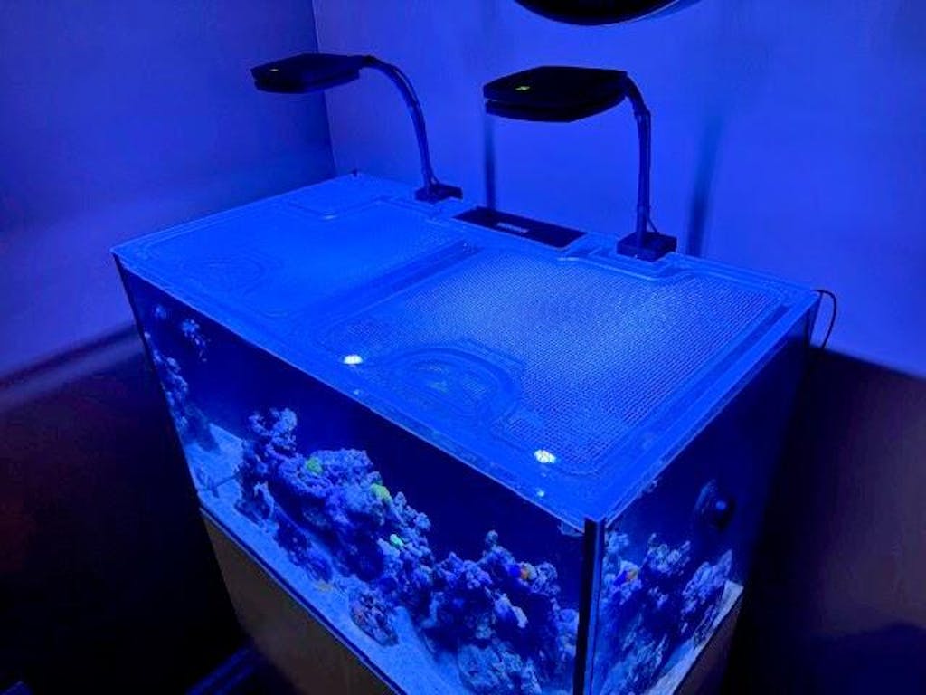 Waterbox Marine X 90.3 (Internal Overflow) Custom Polycarbonate Screen Aquarium Top Lid