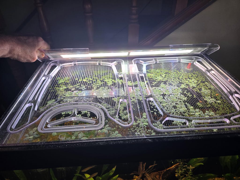 Waterbox Eden 20 Custom Polycarbonate Aquarium Screen Top Lid