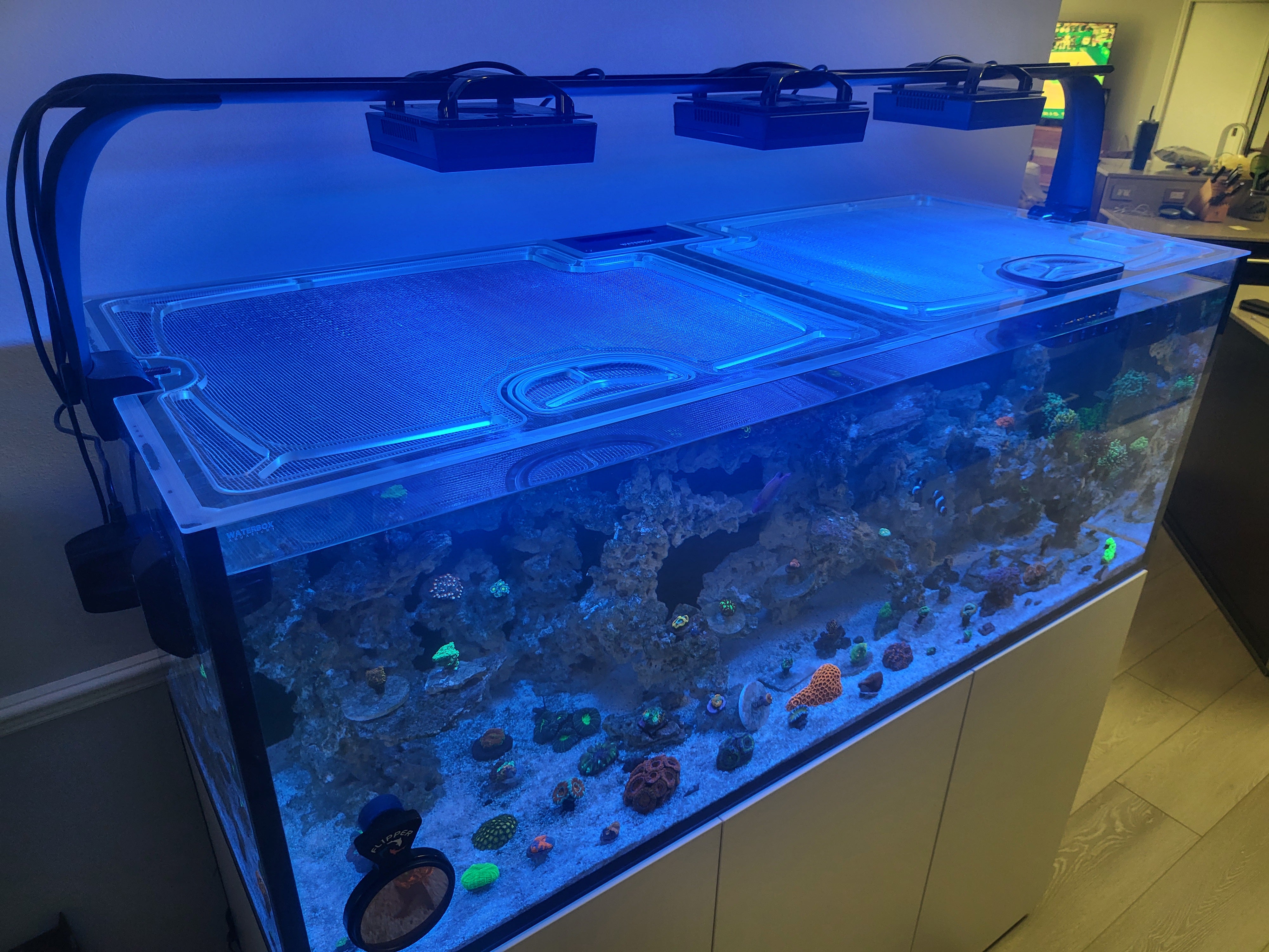 Waterbox Infinia Reef 190.5 Aquarium Top Lid – Top Lids