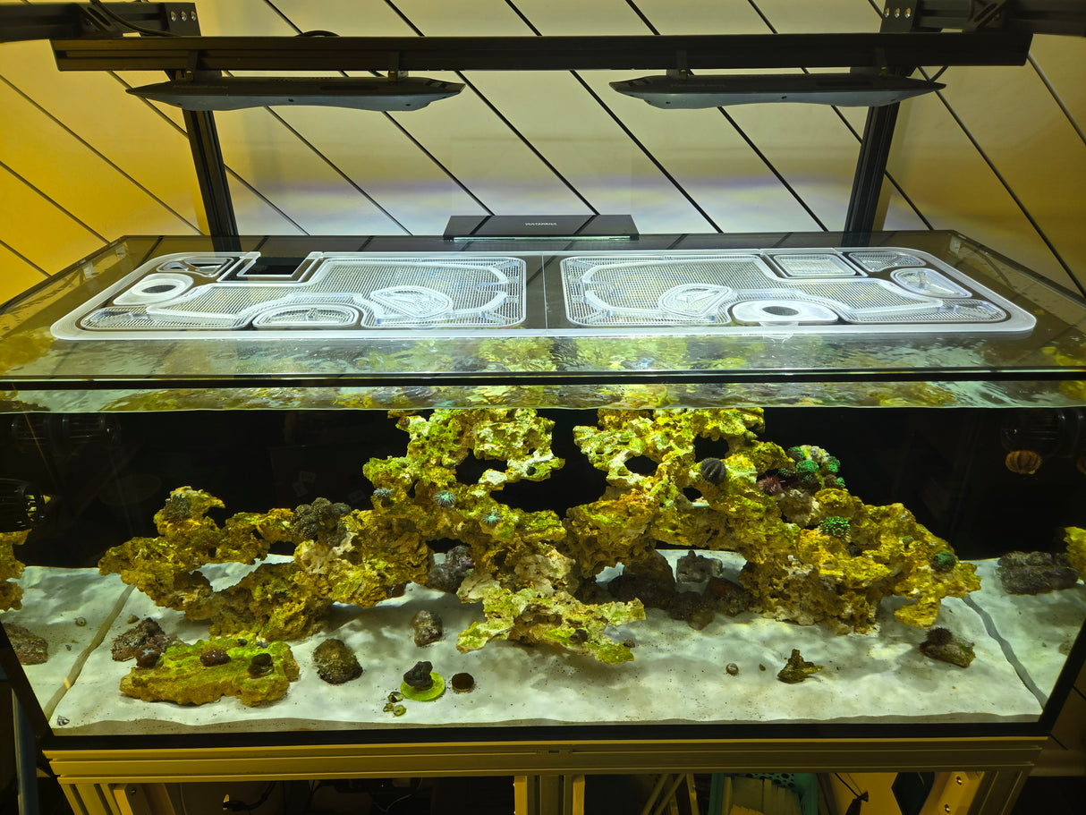 Waterbox Custom Polycarbonate Top Lid