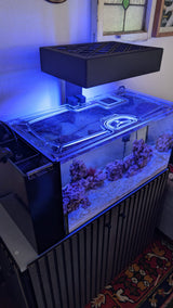 Fiji Cube 38 Gallon Peninsula Rimless Nano AIO Custom Polycarbonate Aquarium Screen Top Lid