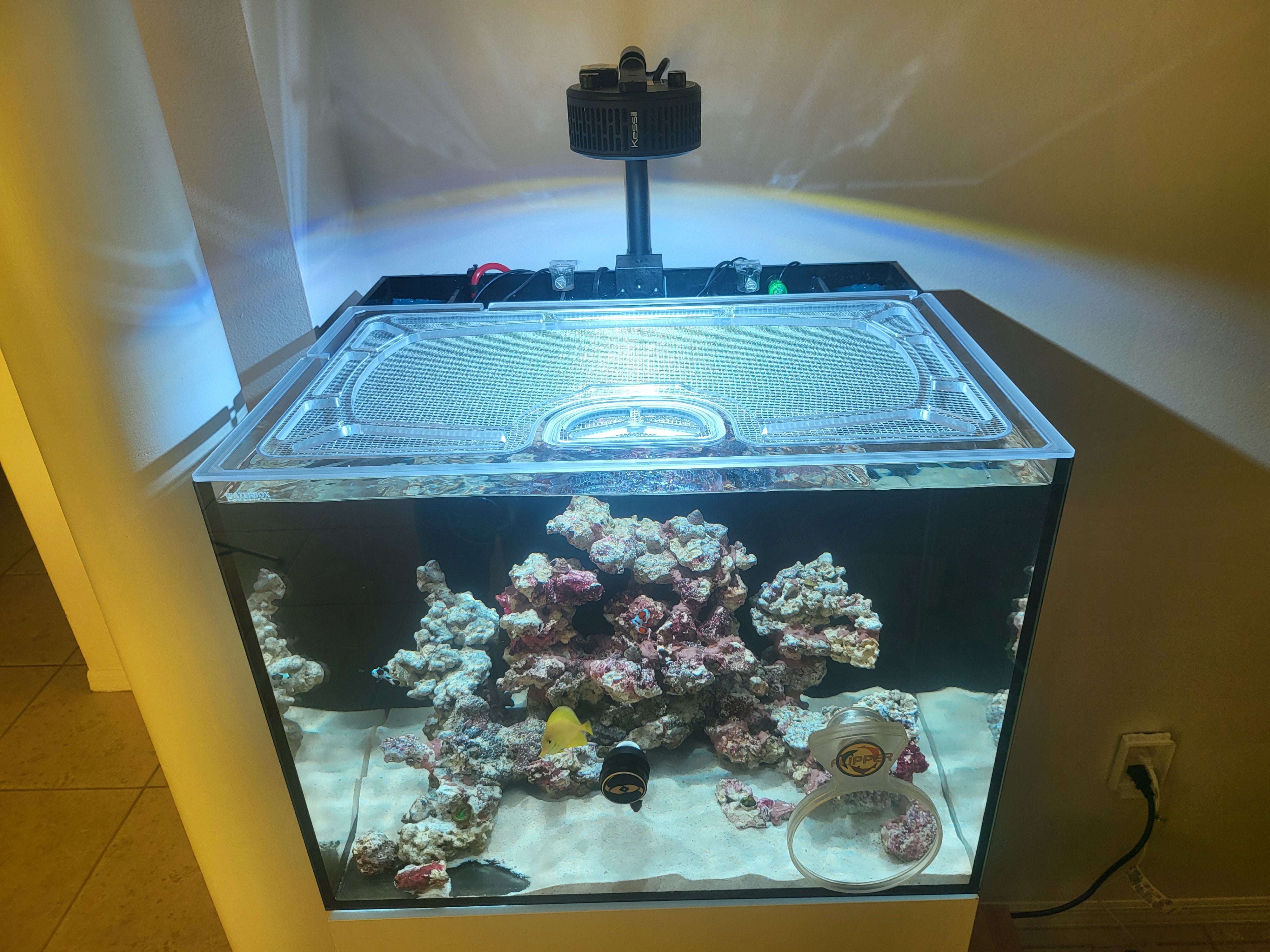 Neptunian Cube T60 AIO (23.6 x 21.6