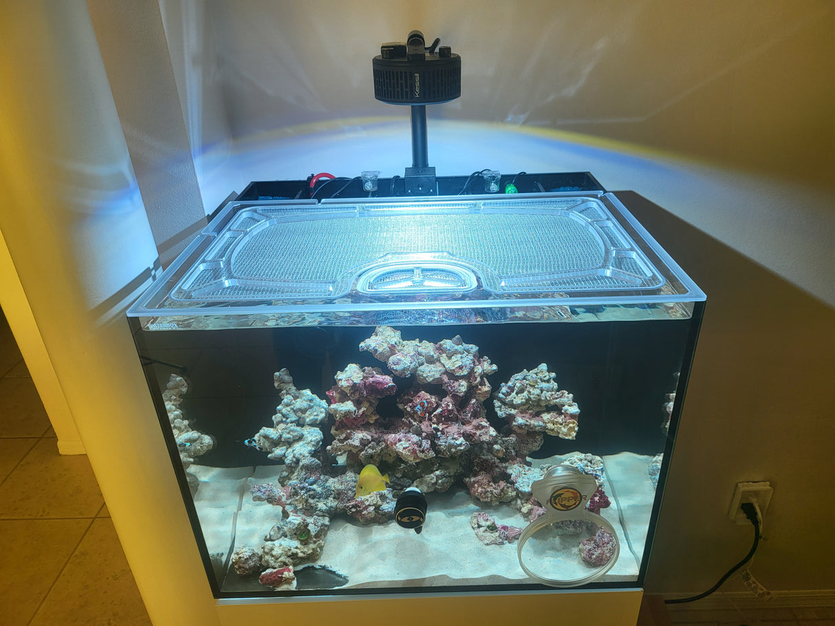 Waterbox AIO 35.2 Custom Polycarbonate Aquarium Screen Top Lid