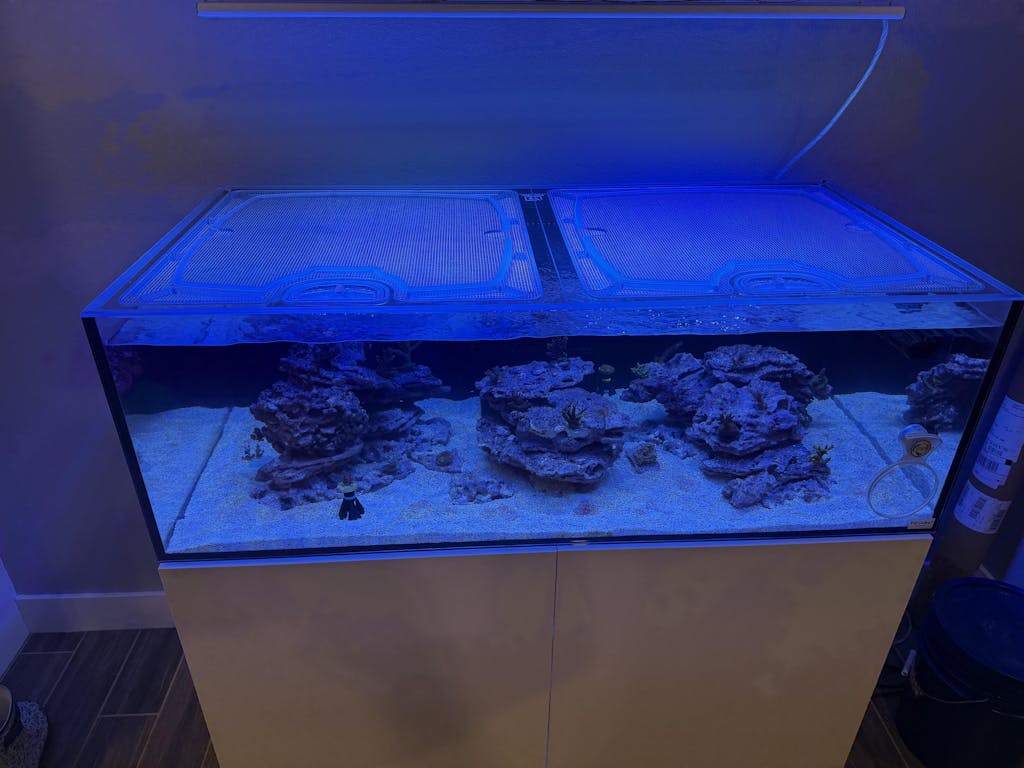 Fiji Cube 95 Gallon Shallow External Overflow Rimless Polycarbonate Aquarium Top Lid