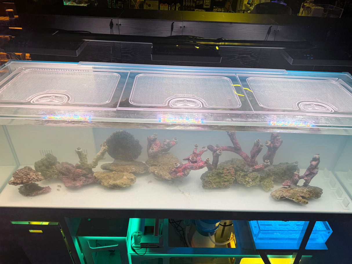 Neptunian Cube A200 Acrylic Polycarbonate Top Lid