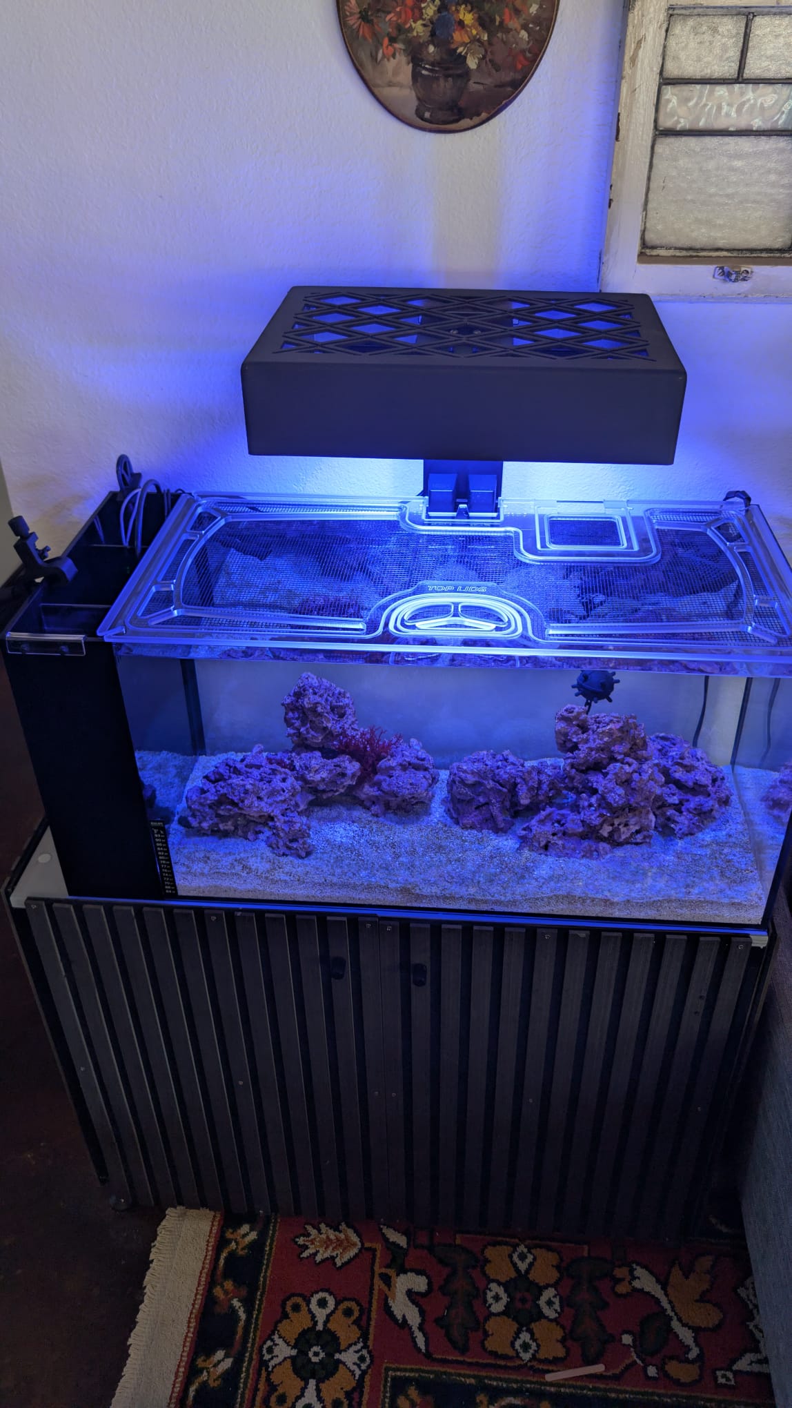 Fiji Cube 38 Gallon Peninsula Rimless Nano AIO Custom Polycarbonate Aquarium Screen Top Lid