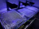 Red Sea Reefer 750 XXL G1 and G2+ (Rimless Version) Custom Polycarbonate Aquarium Screen Top Lid