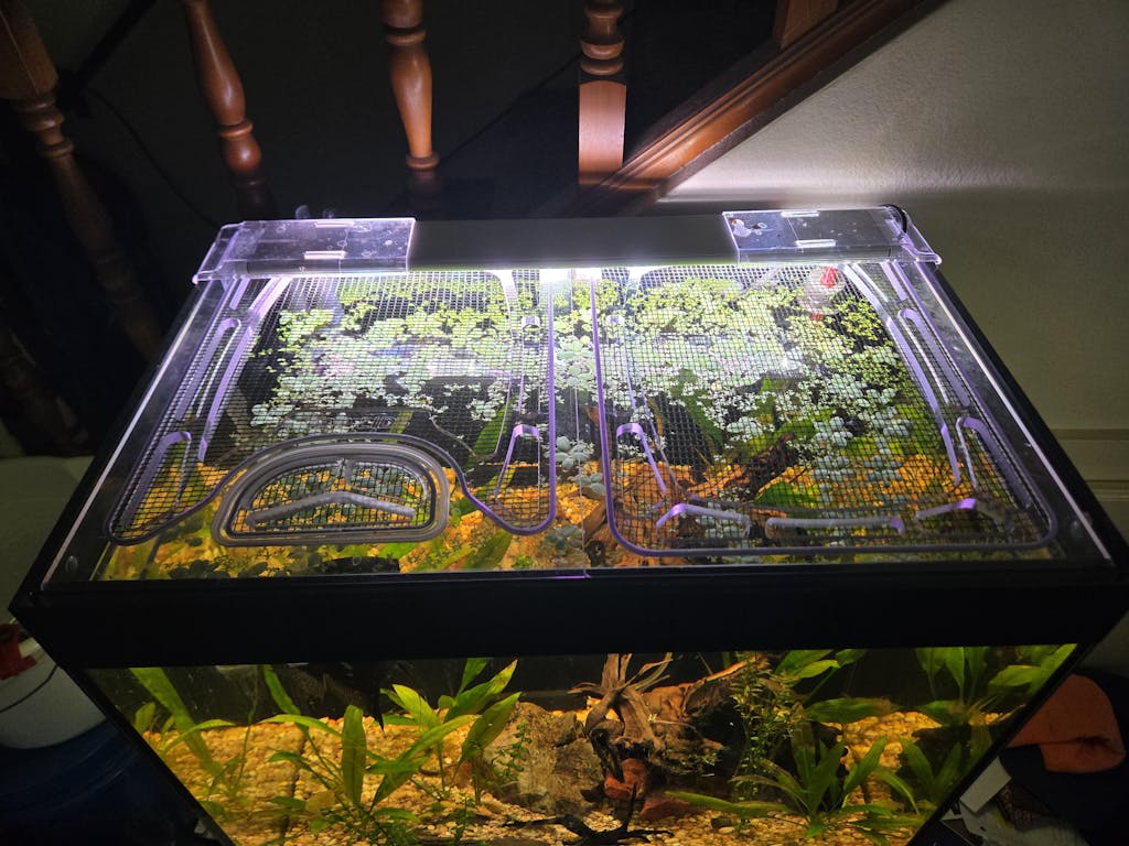 Waterbox Eden 20 Custom Polycarbonate Aquarium Screen Top Lid