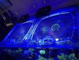 Fiji Cube 76 Gallon Shallow Internal Overflow Rimless Polycarbonate Screen Top Lid