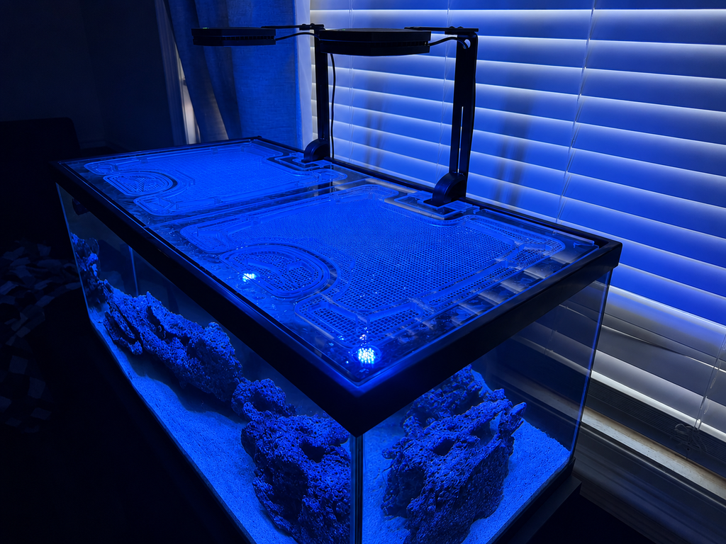 Aqueon 40 Gallon Breeder (36.25"L x 18.25"W x 17"H) Polycarbonate Aquarium Screen Top Lid