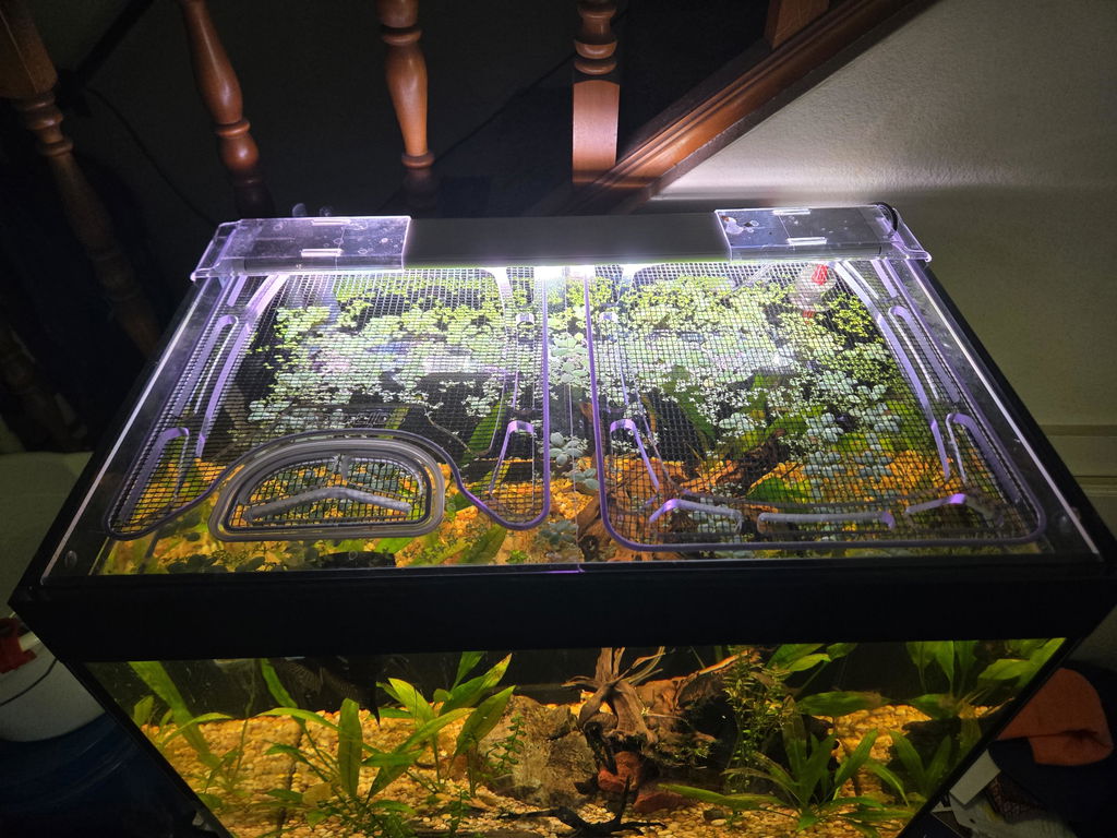 Waterbox Eden X 145 Polycarbonate Screen Top Lid