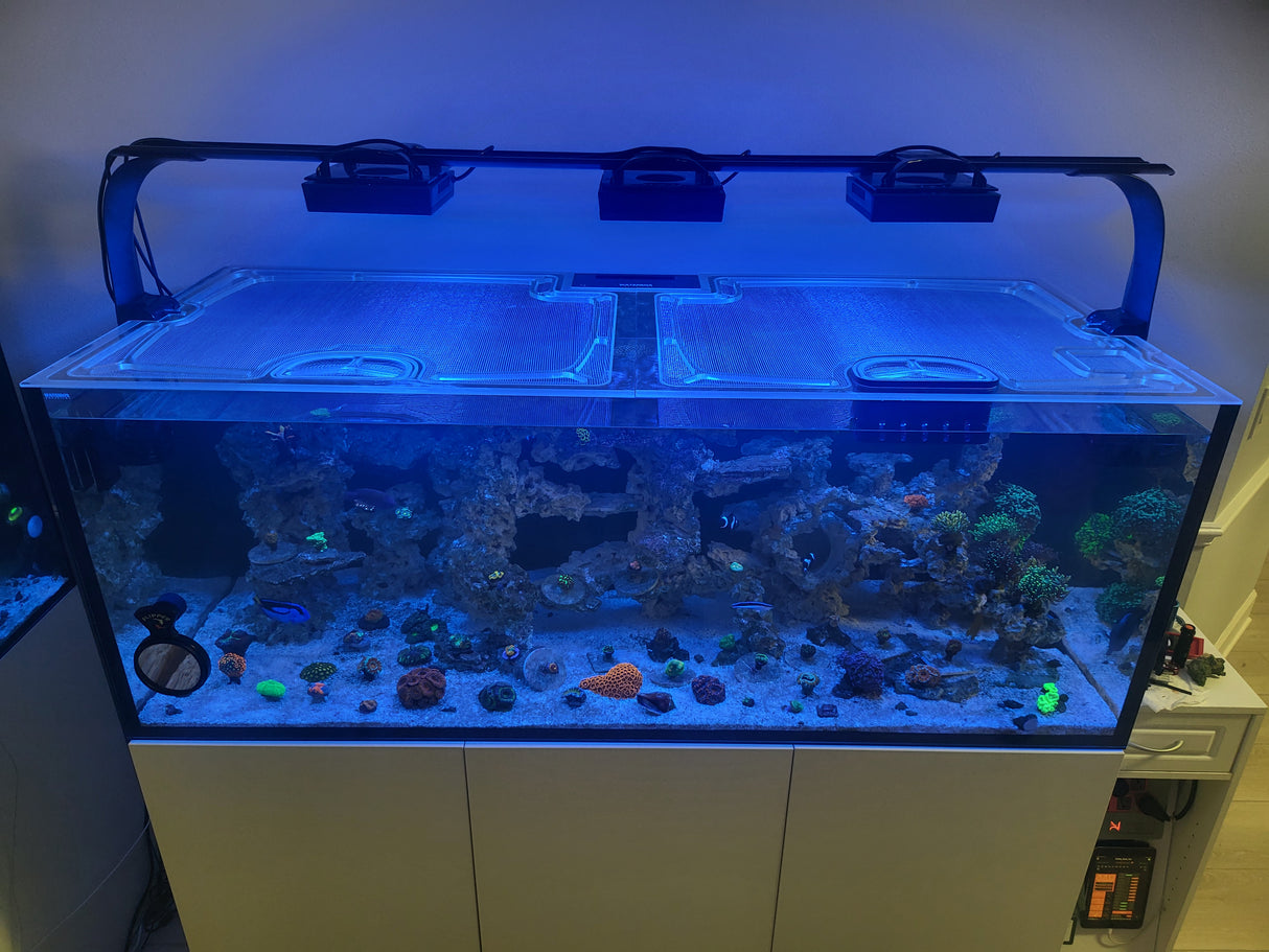 Waterbox Infinia Reef 190.5 Custom Polycarbonate Aquarium Screen Top Lid