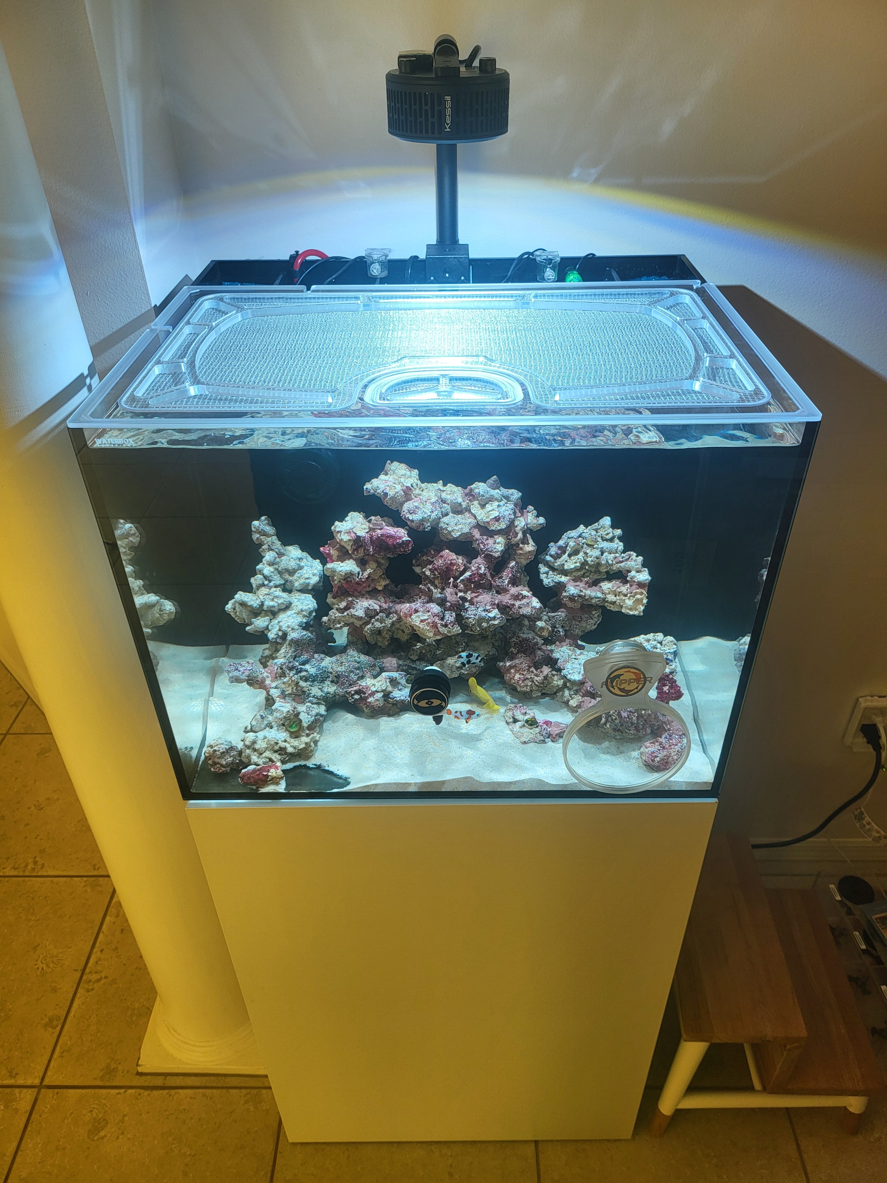 Neptunian Cube T60 AIO (23.6 x 21.6