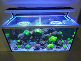 Red Sea Max-S 500 G1 and G2+ Custom Polycarbonate Aquarium Screen Top Lid