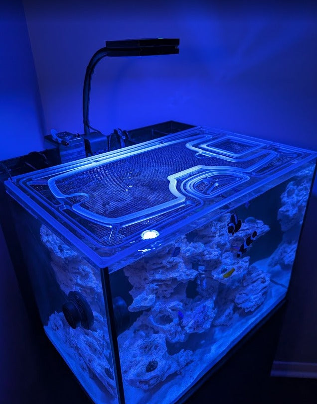 JBJ RF-25 Rimless 25 Gallon Flat Panel AIO (Straight Corner