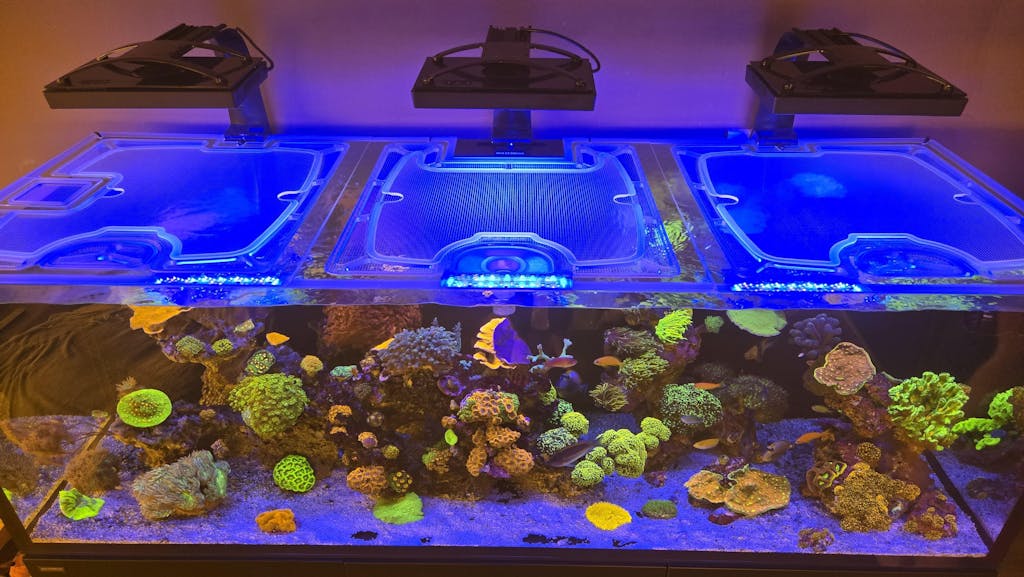 Waterbox Infinia Reef 230.6 Custom Polycarbonate Aquarium Screen Top Lid