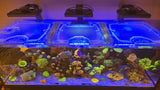 Waterbox Infinia Reef 230.6 Custom Polycarbonate Aquarium Screen Top Lid