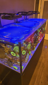 Waterbox Infinia Reef 230.6 Custom Polycarbonate Aquarium Screen Top Lid