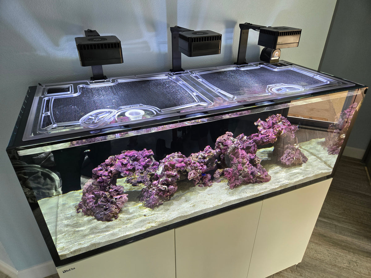 Red Sea Reef-Frame 250 (Black Eurobrace Version) Polycarbonate Aquarium Screen Top Lid