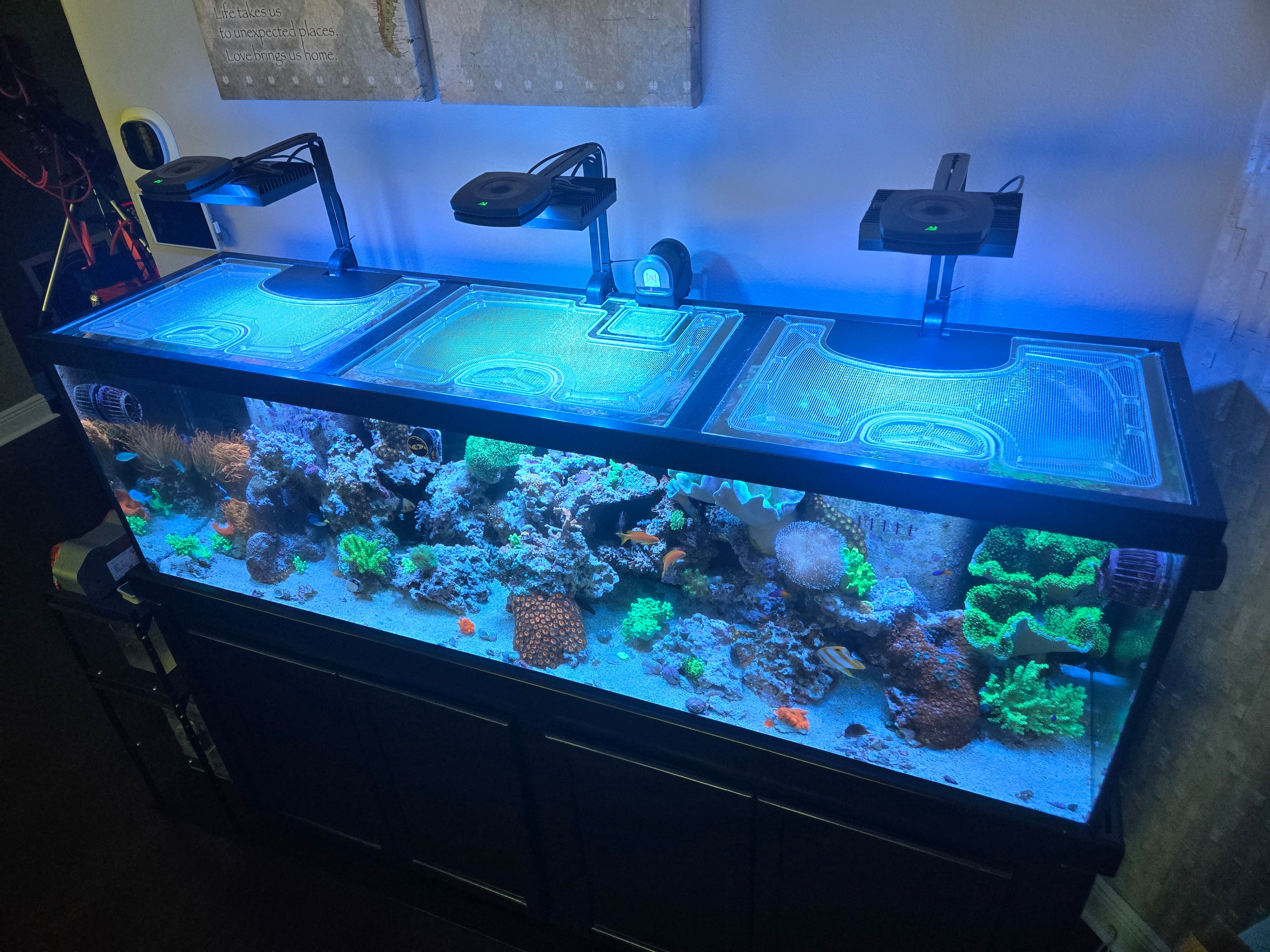 Marineland 125 Gallon Corner-Flo (72