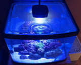 Coralife BioCube 29 and 32 Rimmed Version (with Black Frame) Polycarbonate Aquarium Screen Top Lid