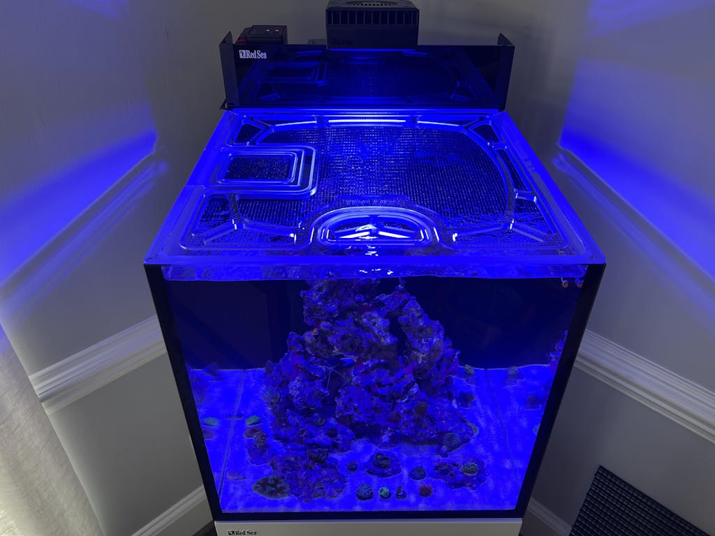 Red Sea Max Nano G2 Cube Custom Polycarbonate Aquarium Screen Top Lid
