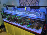 Innovative Marine NUVO 200 INT Custom Polycarbonate Aquarium Screen Top Lid