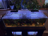 Planet Aquariums Studio Bookshelf 23.7 Gallon Polycarbonate Screen Top Lid