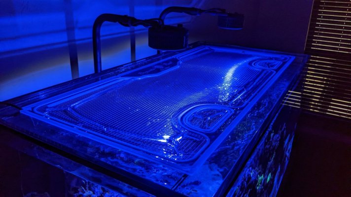 SCA 120 Gallon Starfire 48 x 24" Custom Polycarbonate Aquarium Screen Top Lid