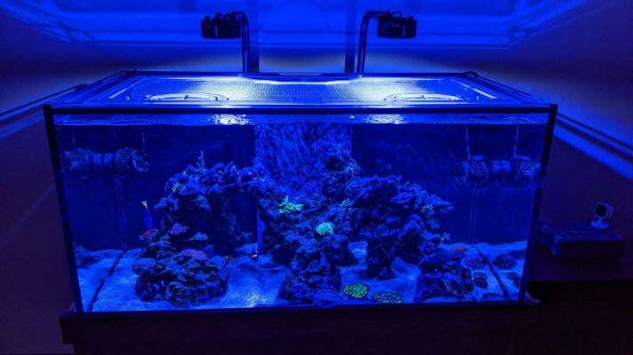 SCA 120 Gallon Starfire 48 x 24" Custom Polycarbonate Aquarium Screen Top Lid