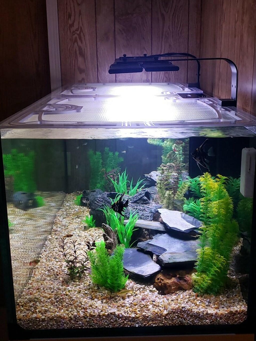 Waterbox Reef 180.5 Custom Polycarbonate Aquarium Screen Top Lid