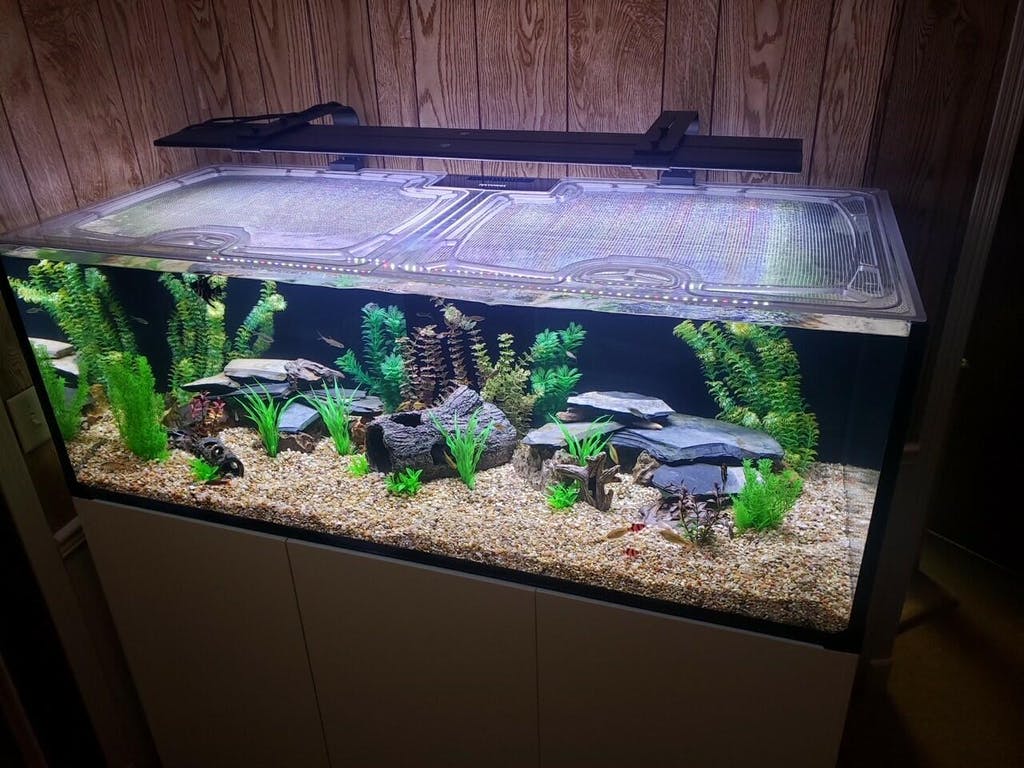 Waterbox Reef 180.5 Custom Polycarbonate Aquarium Screen Top Lid