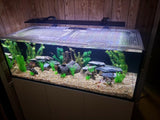 Waterbox Reef 180.5 Custom Polycarbonate Aquarium Screen Top Lid