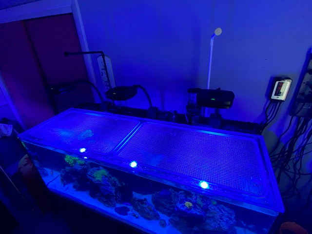 Waterbox AIO 65.4 Custom Polycarbonate  Aquarium Screen Top Lid