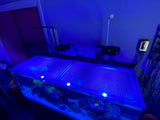 Waterbox AIO 65.4 Custom Polycarbonate  Aquarium Screen Top Lid