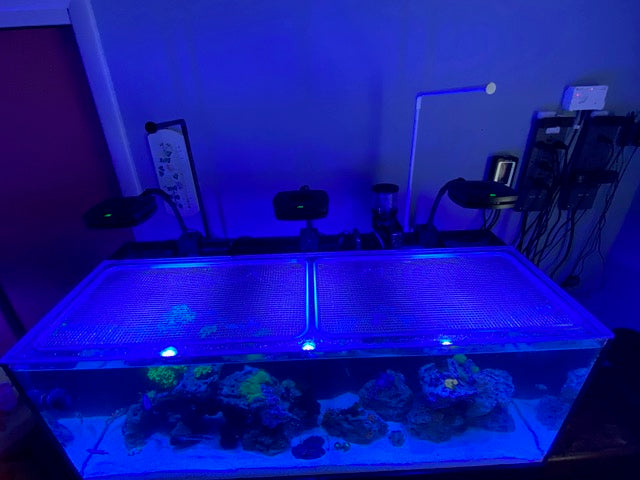 Waterbox AIO 65.4 Custom Polycarbonate  Aquarium Screen Top Lid