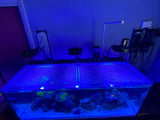 Waterbox AIO 65.4 Custom Polycarbonate  Aquarium Screen Top Lid